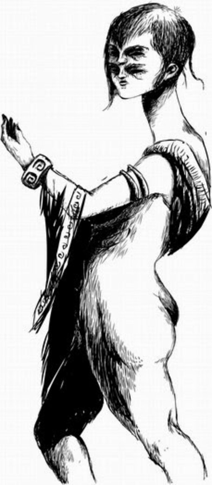 Illustration 9