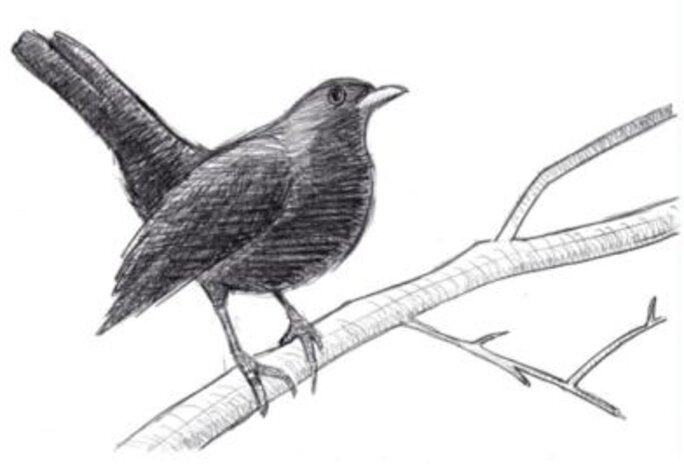 Illustration 3