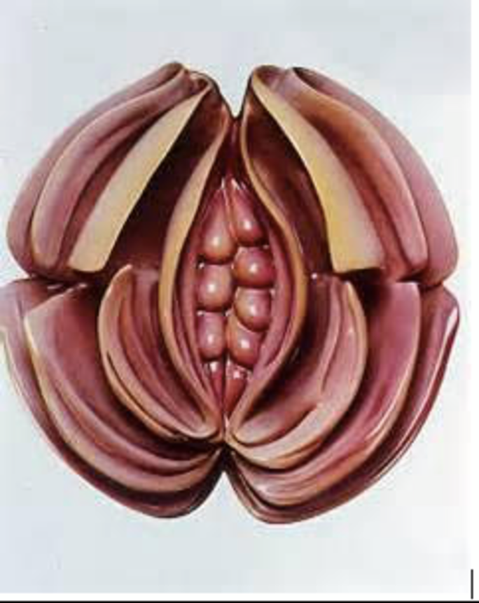 Illustration 2