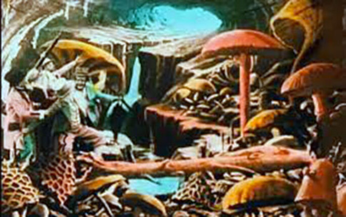 Illustration 2