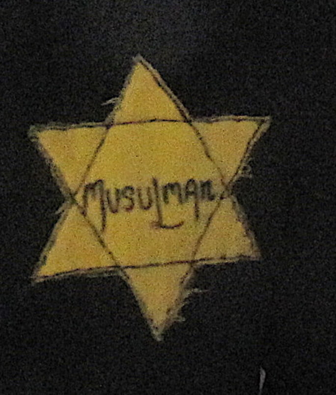 Illustration 5