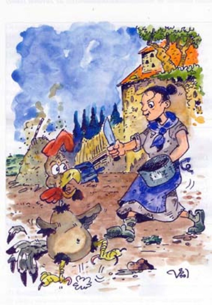 Illustration 2