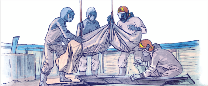 Illustration 5