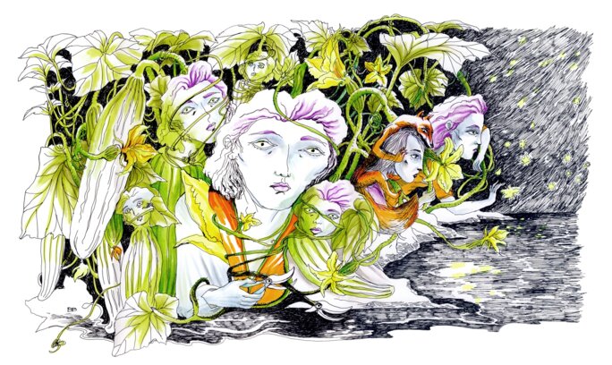 Illustration 2