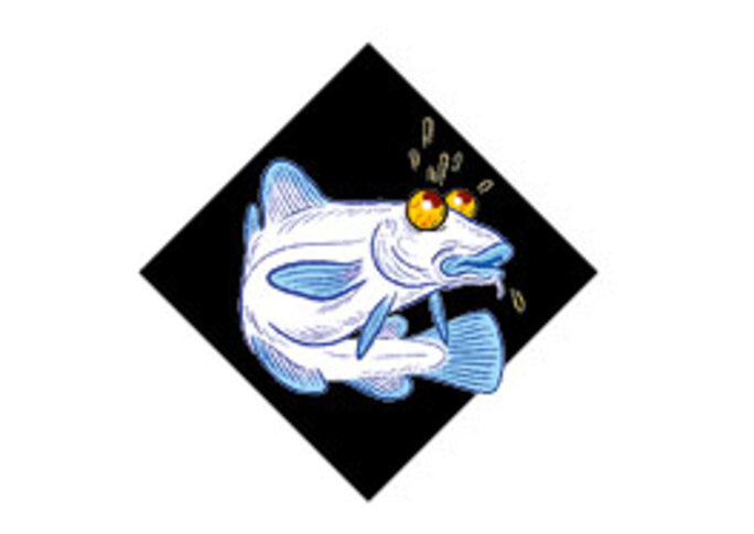 Illustration 7