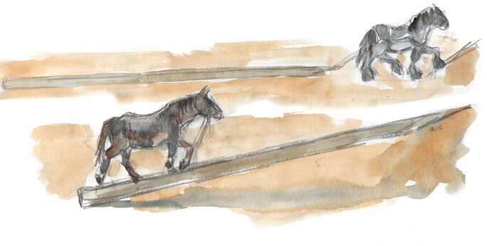 Illustration 14