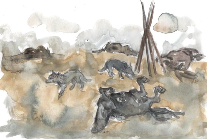 Illustration 13