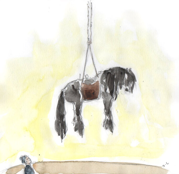 Illustration 12