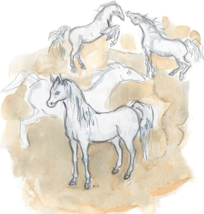 Illustration 3