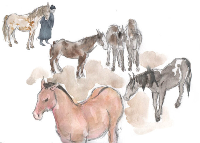 Illustration 7