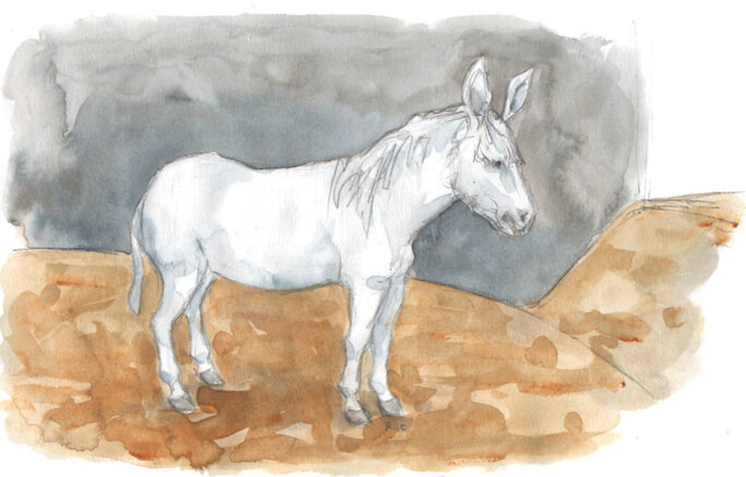 Illustration 9