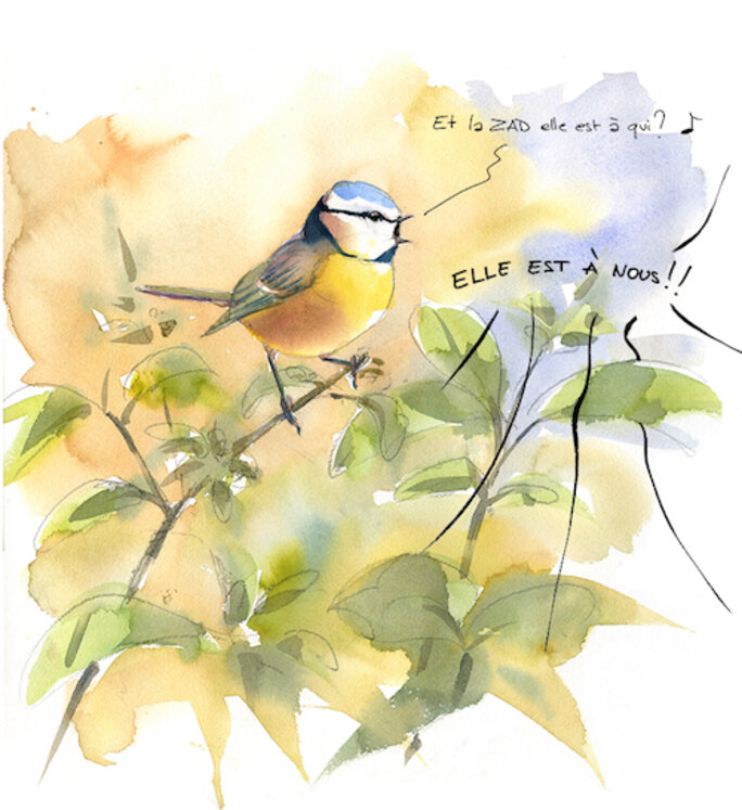Illustration 5