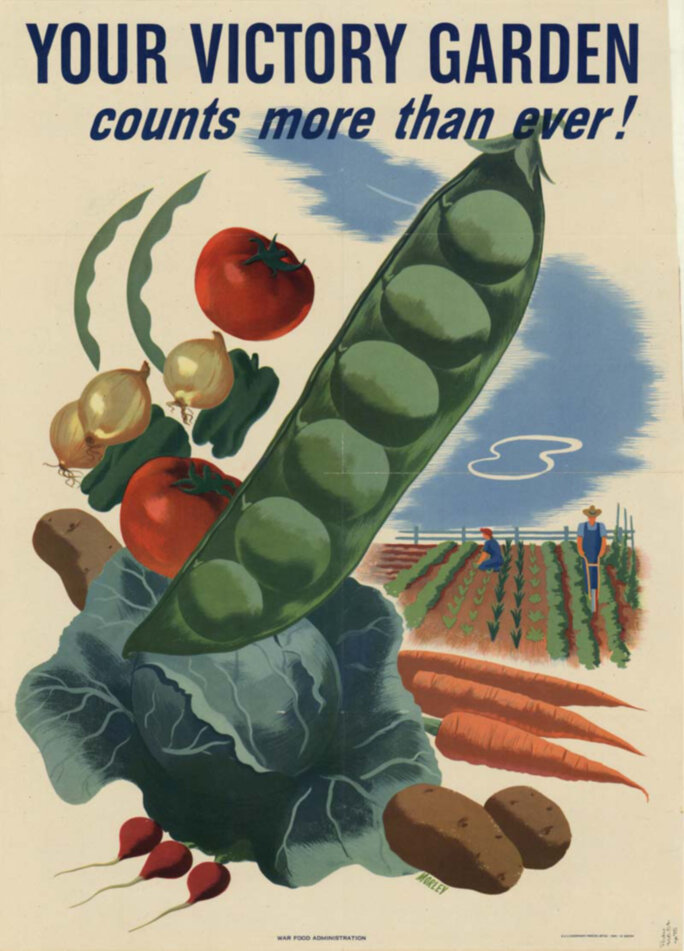 Illustration 2