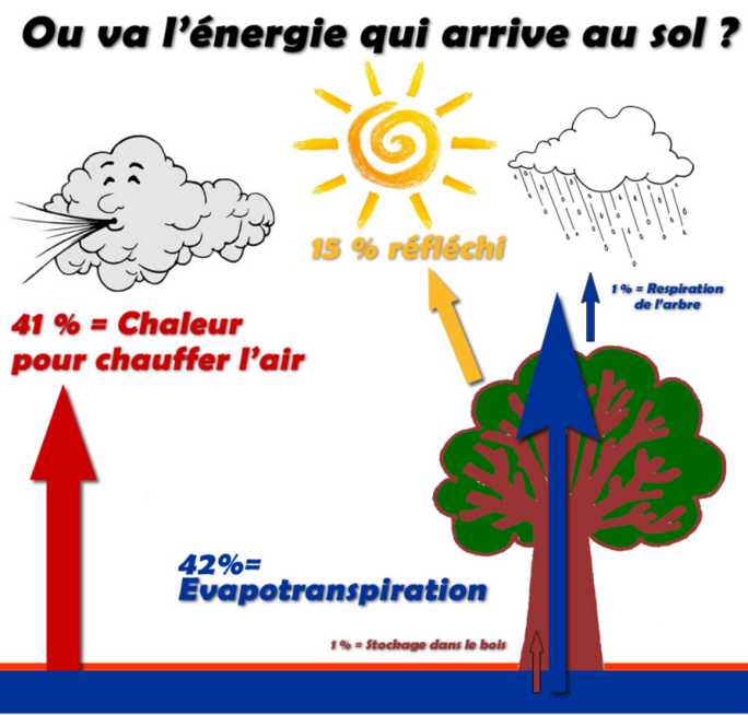 Illustration 4