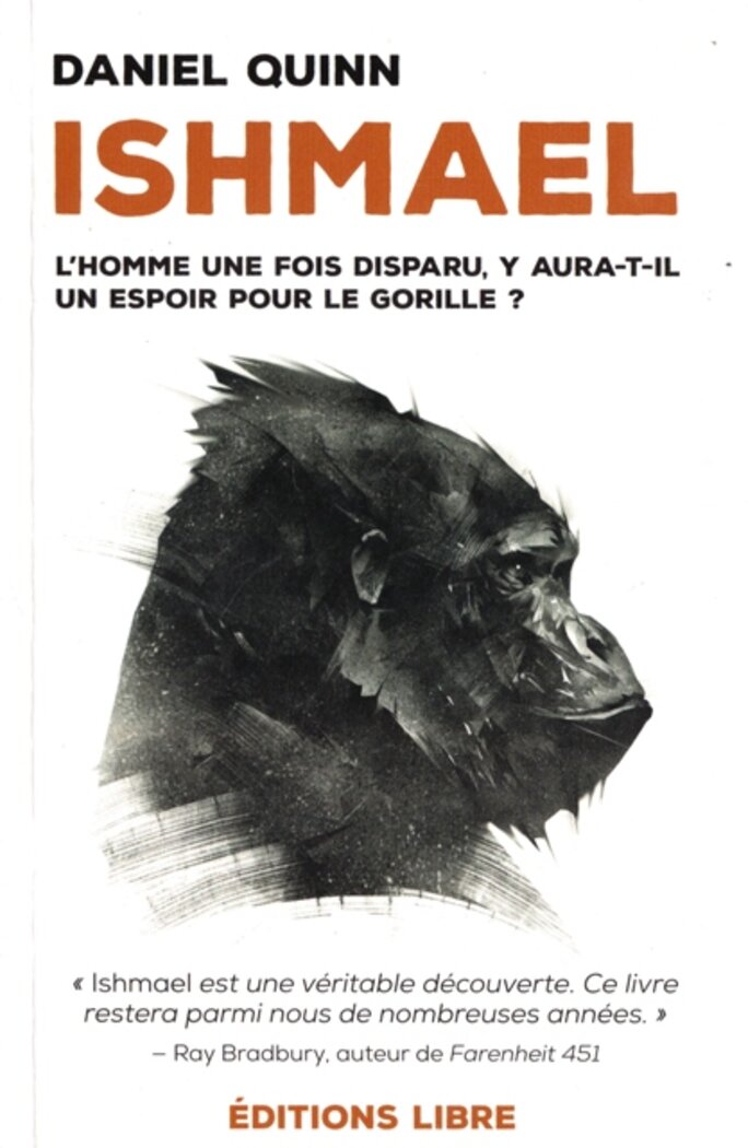 Illustration 3