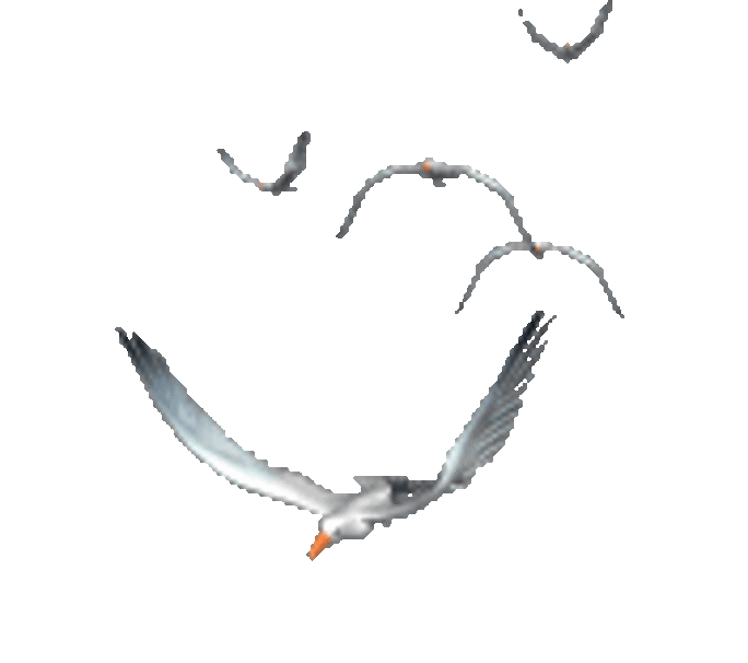 Illustration 5