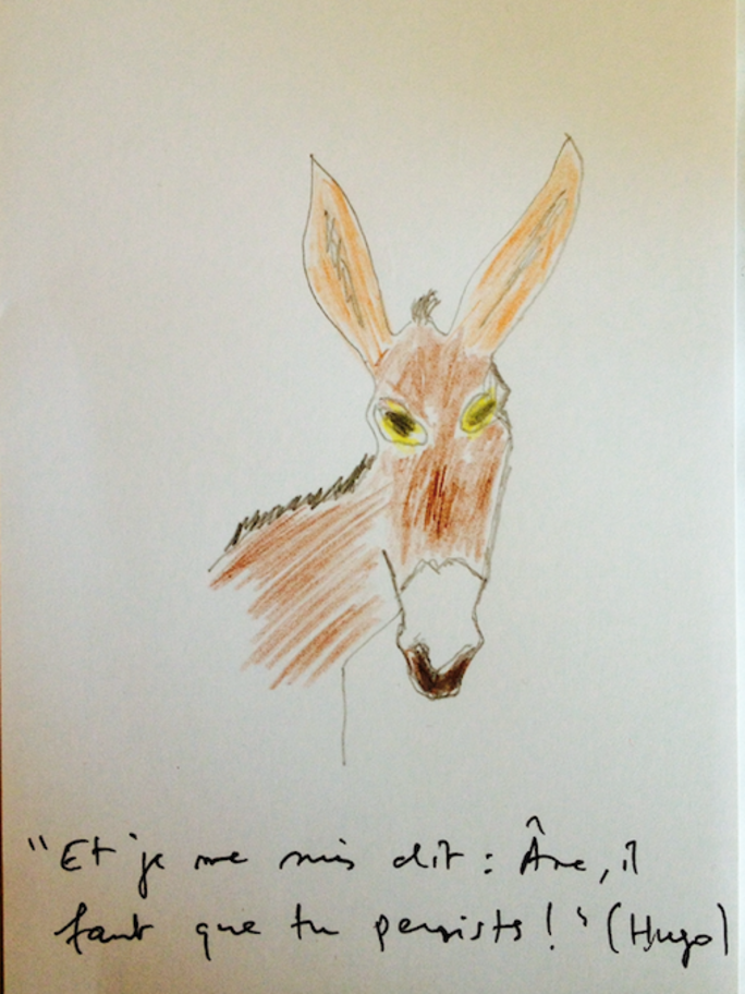 Illustration 4