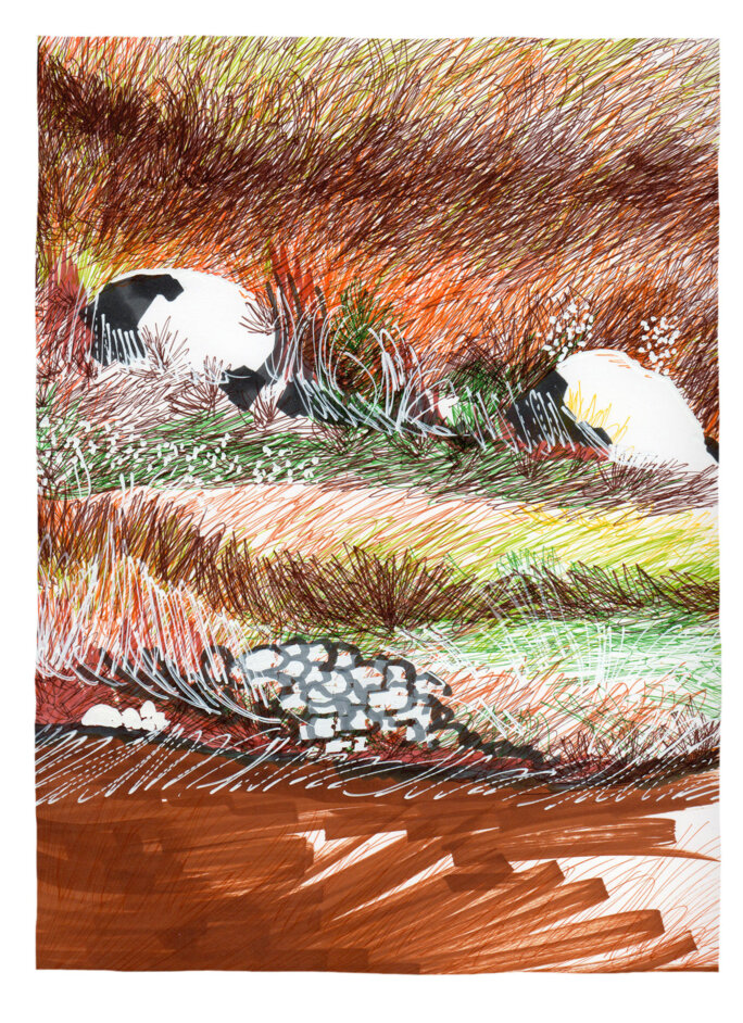 Illustration 11