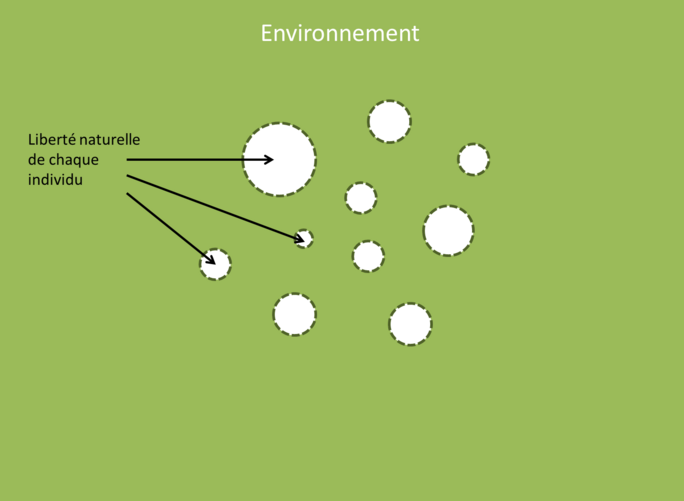 Illustration 2