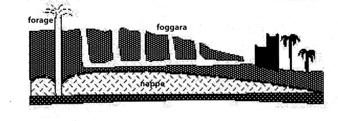 Illustration 9