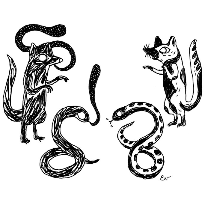 Illustration 6