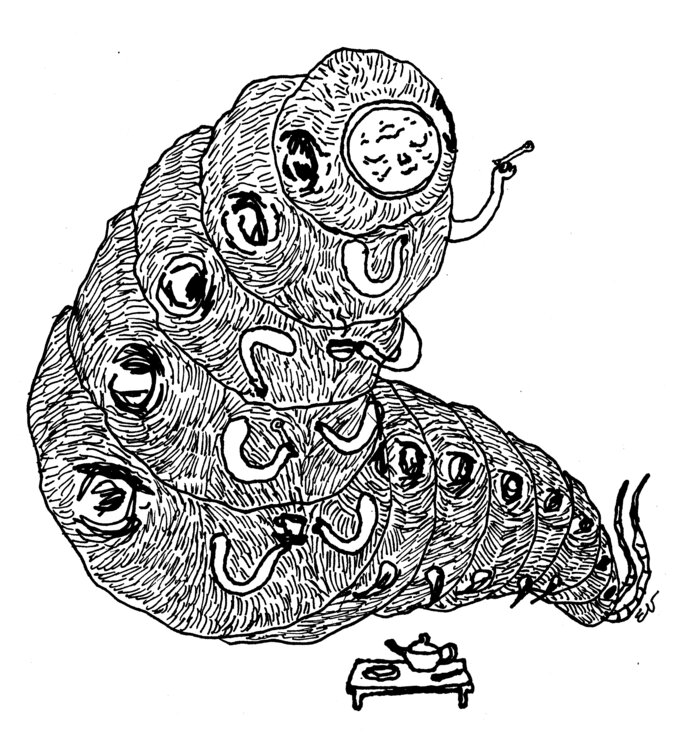 Illustration 13