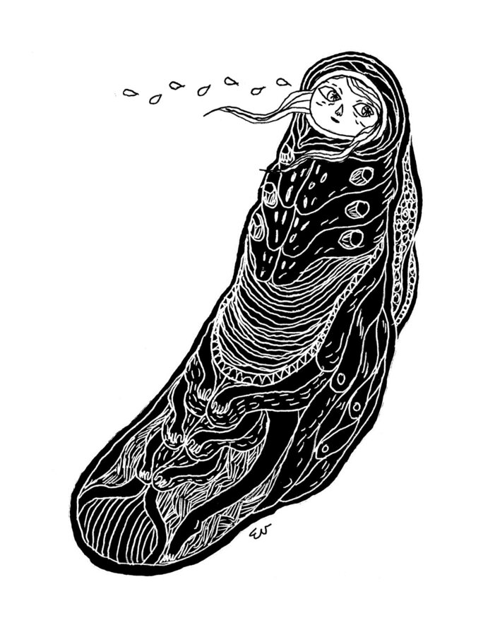 Illustration 14