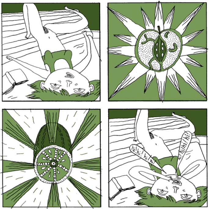 Illustration 2