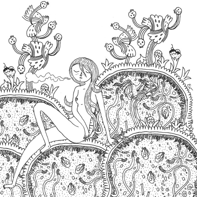 Illustration 43