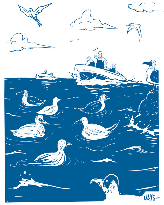Illustration 2