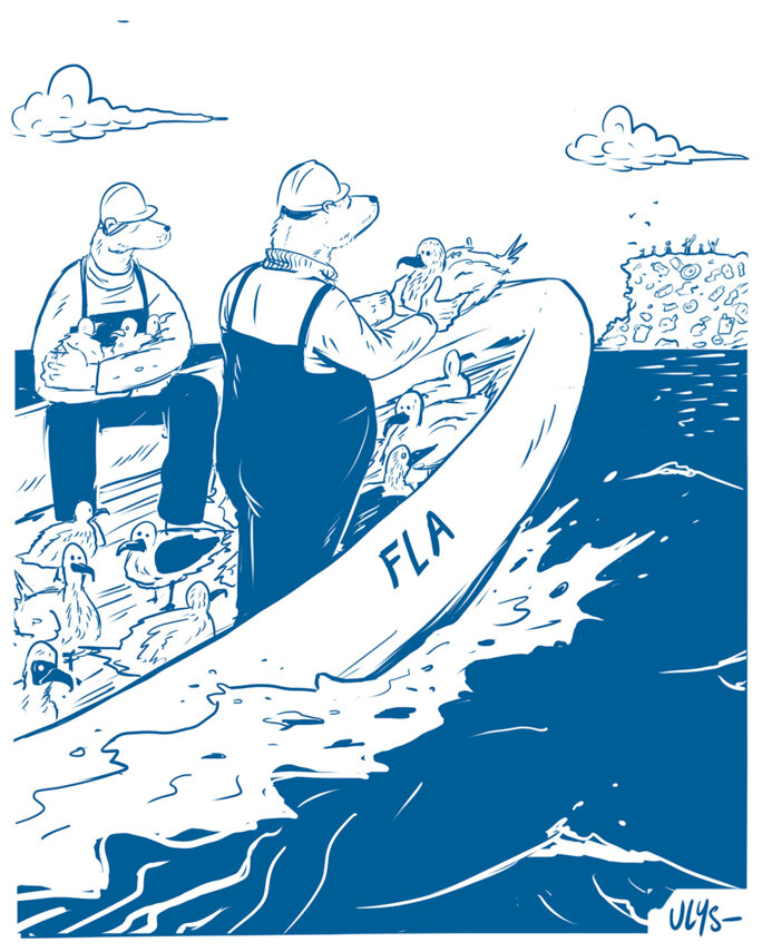 Illustration 3