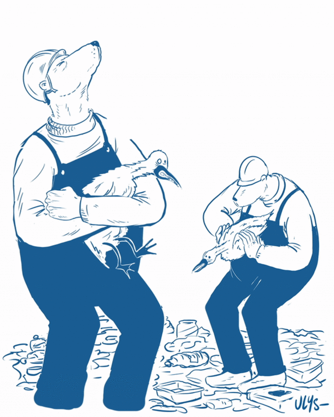 Illustration 4