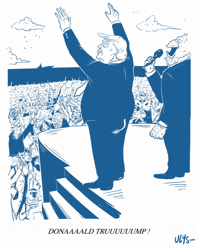 Illustration 4