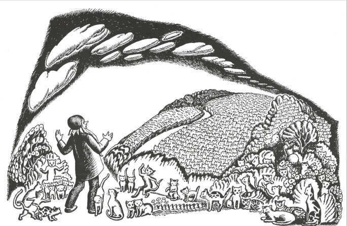 Illustration 6