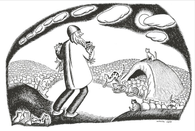 Illustration 6