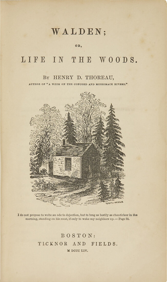 Illustration 2