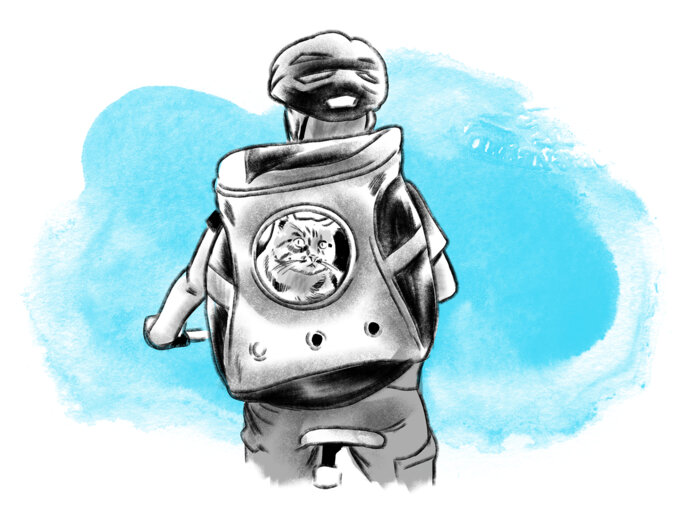Illustration 23
