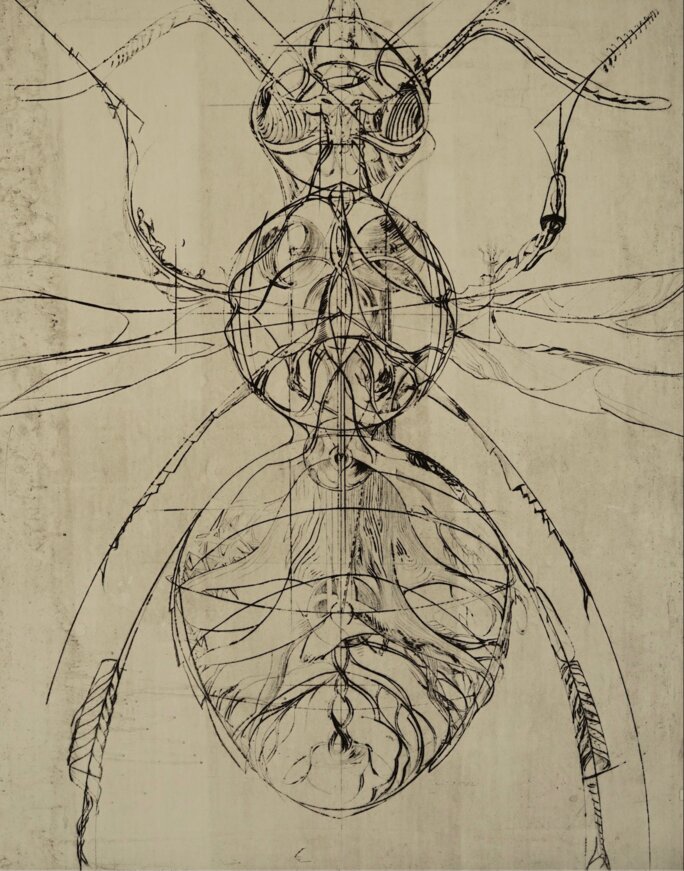 Illustration 15