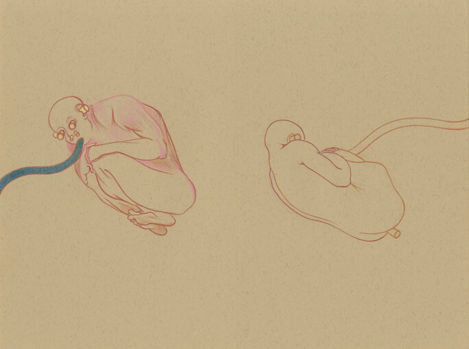 Illustration 7