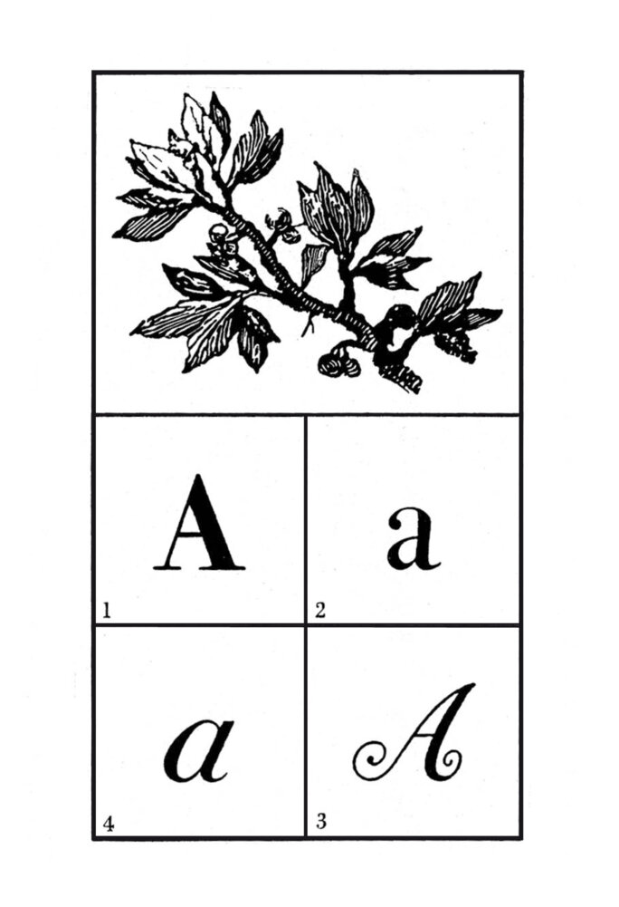 Illustration 2