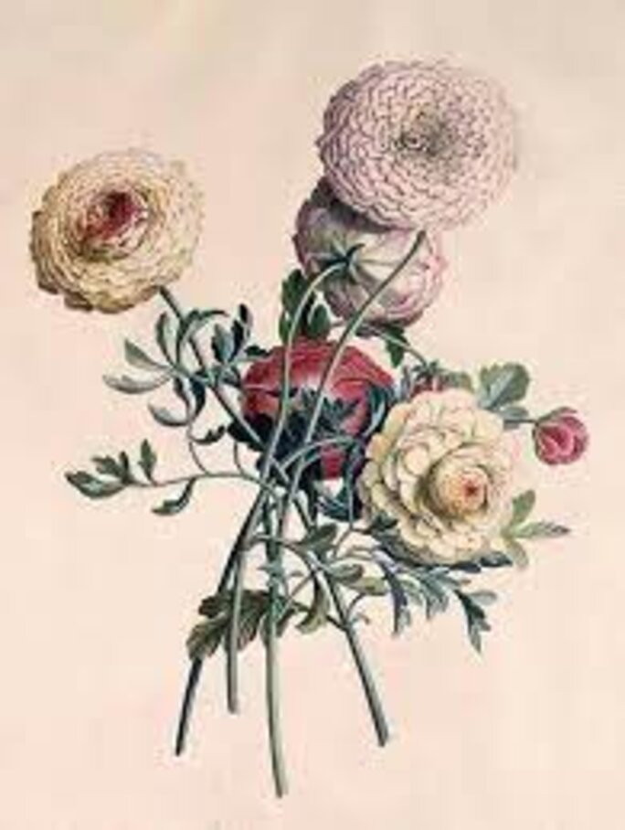 Illustration 7