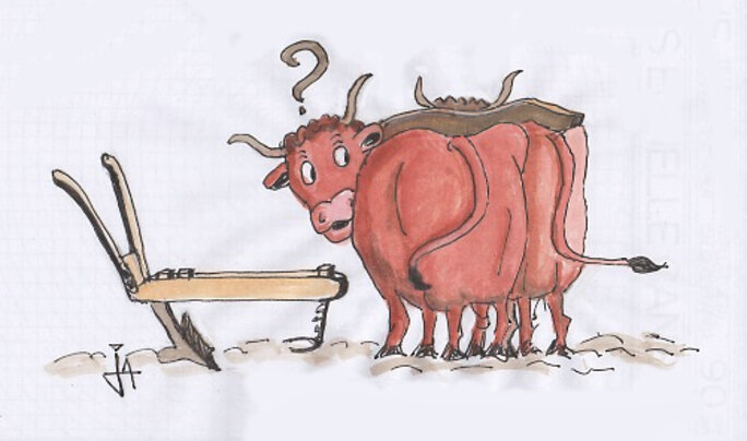 Illustration 9