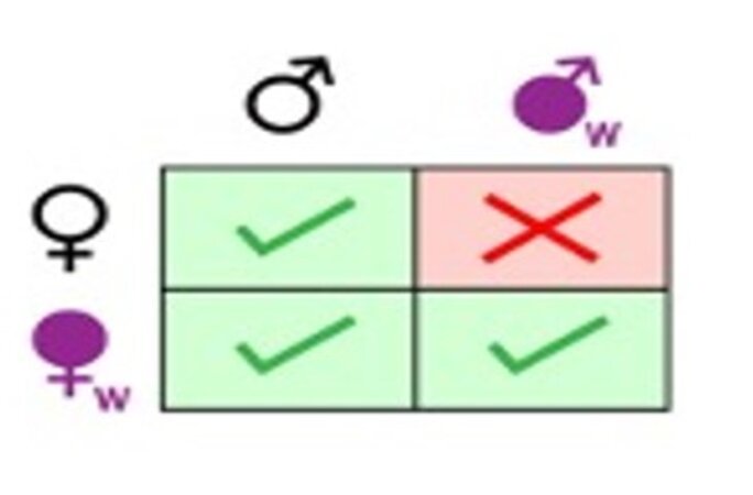 Illustration 3