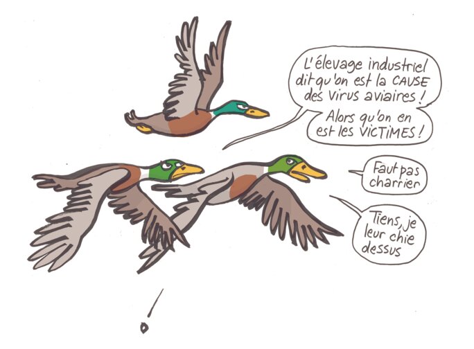 Illustration 2