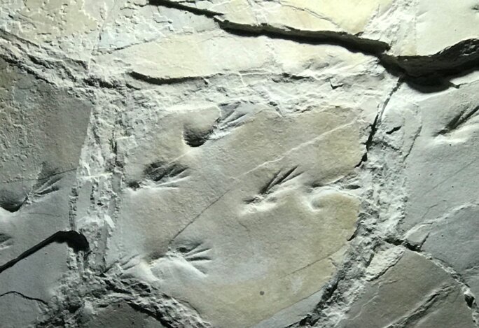 Illustration 7
