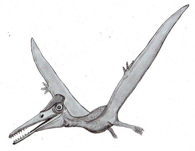 Illustration 5