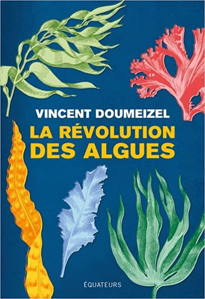 Illustration 2