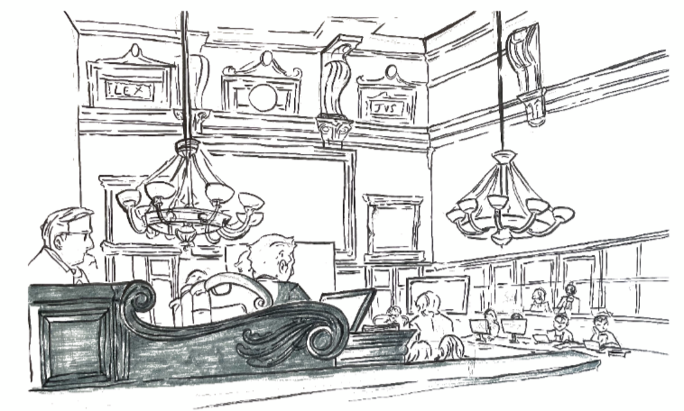 Illustration 8