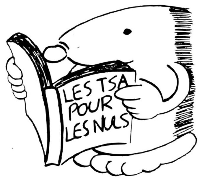 Illustration 2