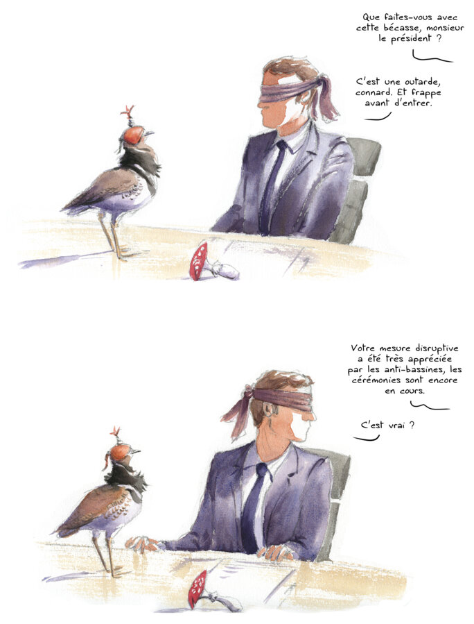 Illustration 11